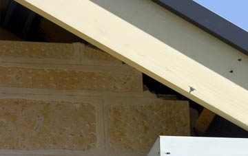 soffit repair Truthwall